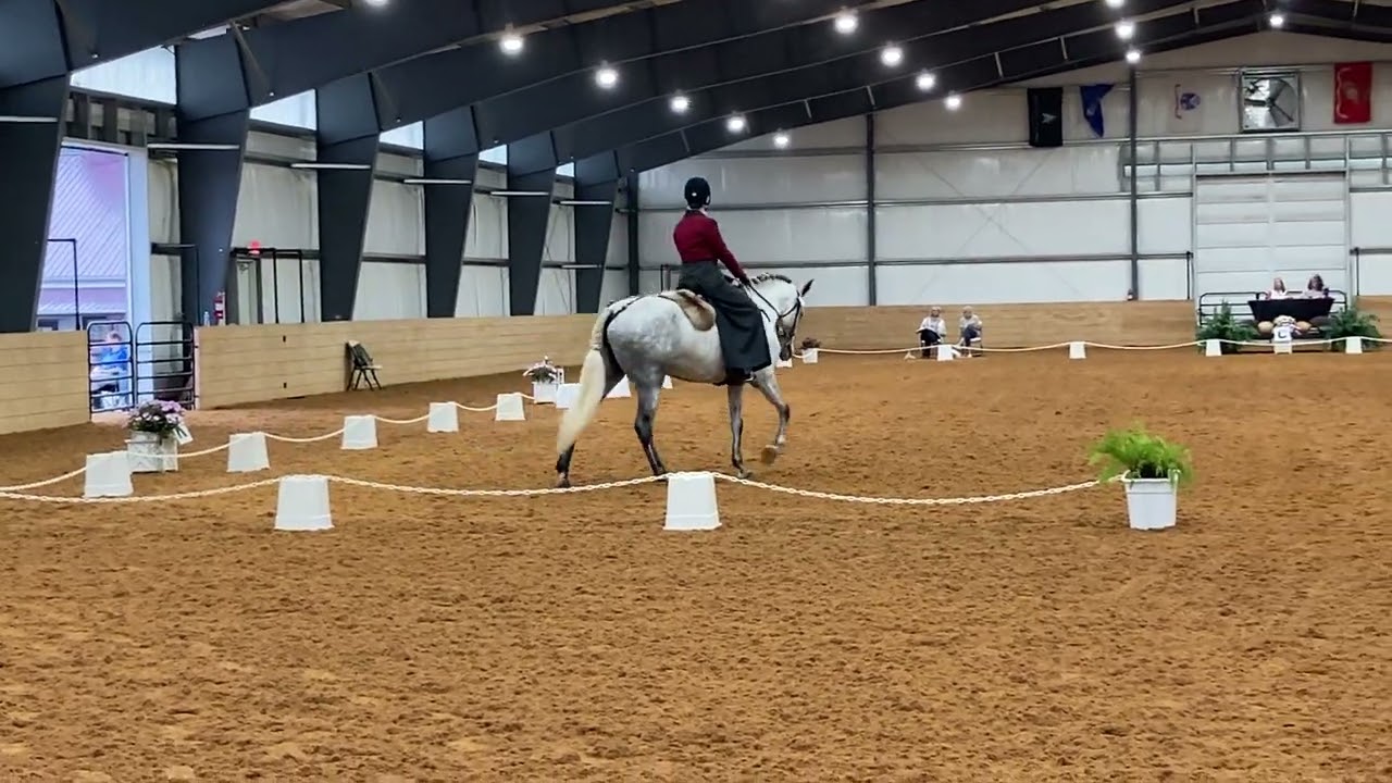Working Equitation Intro (L1) dressage test