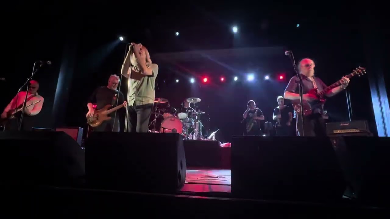 The Saints ‘73-‘78 - Brisbane (Security City) - (live)