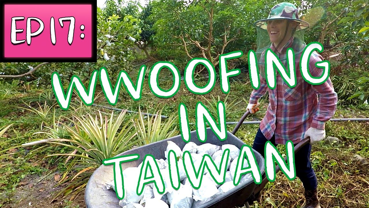 Wwoofing Taiwan (RaD Ep 17) : Experiencing Life on an Taiwanese Organic Farm