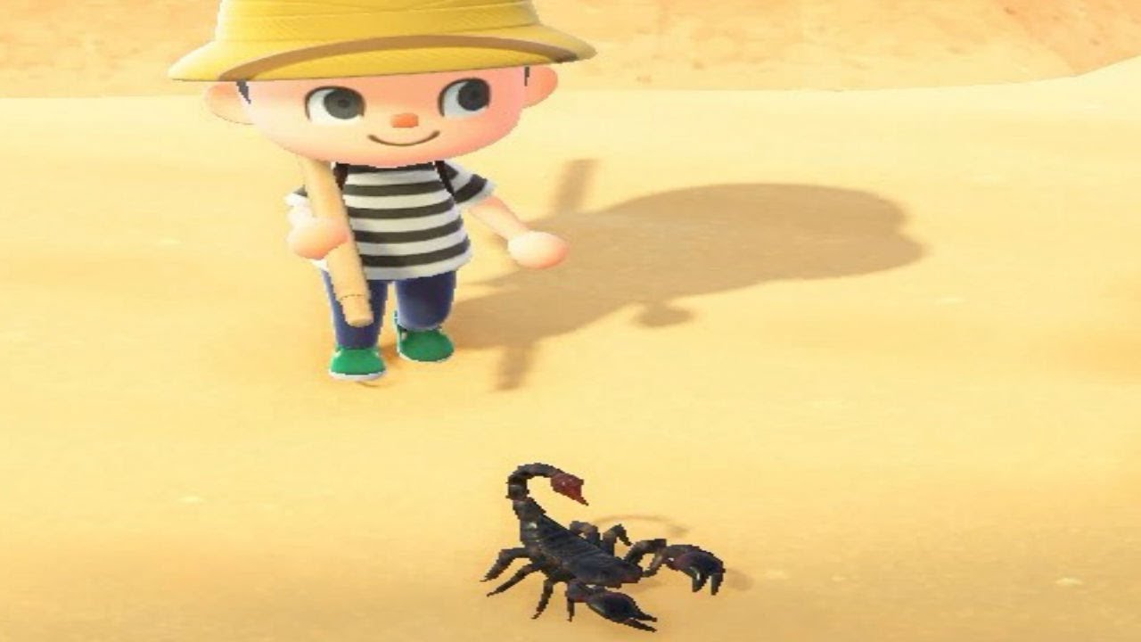 昼間なのにサソリ！