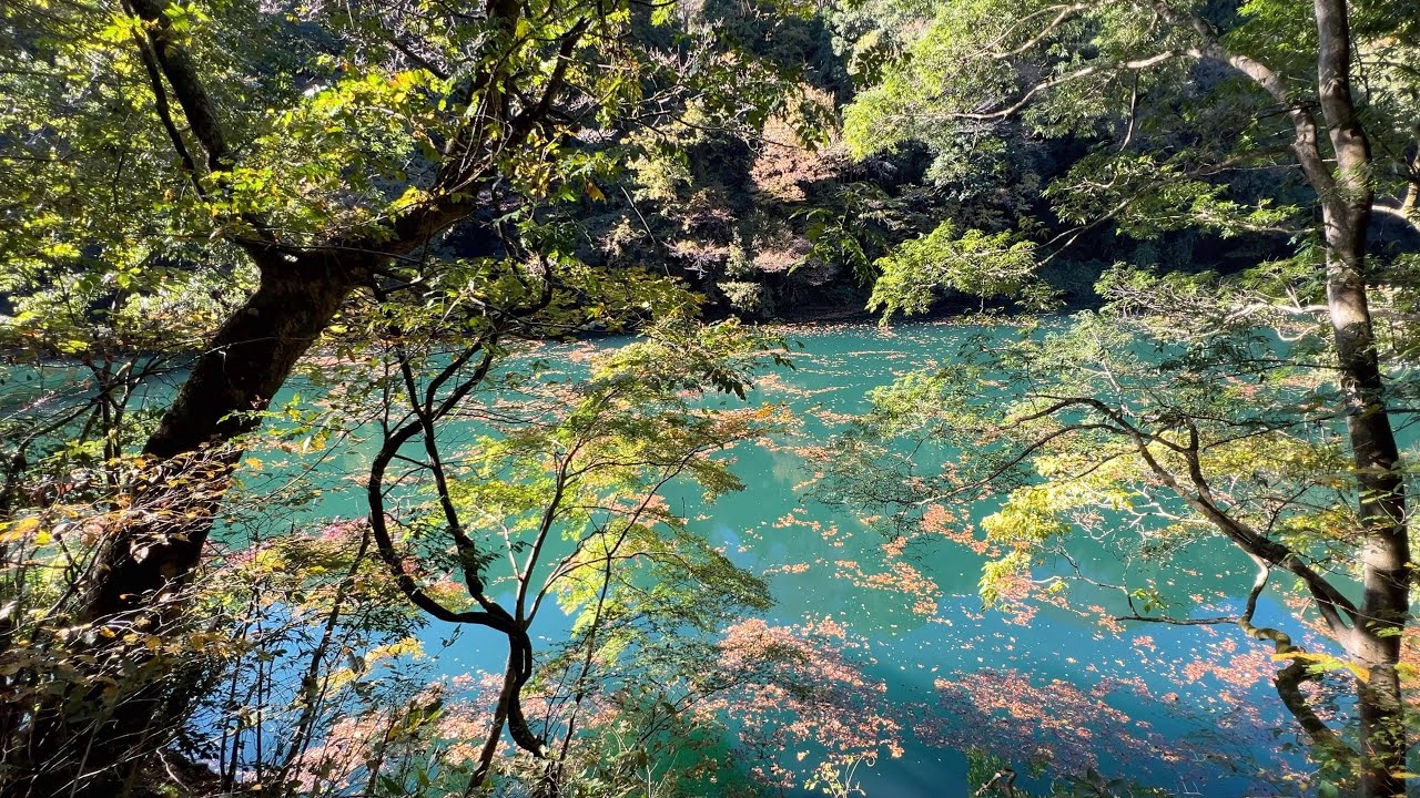 Hiking Japan: Tama River