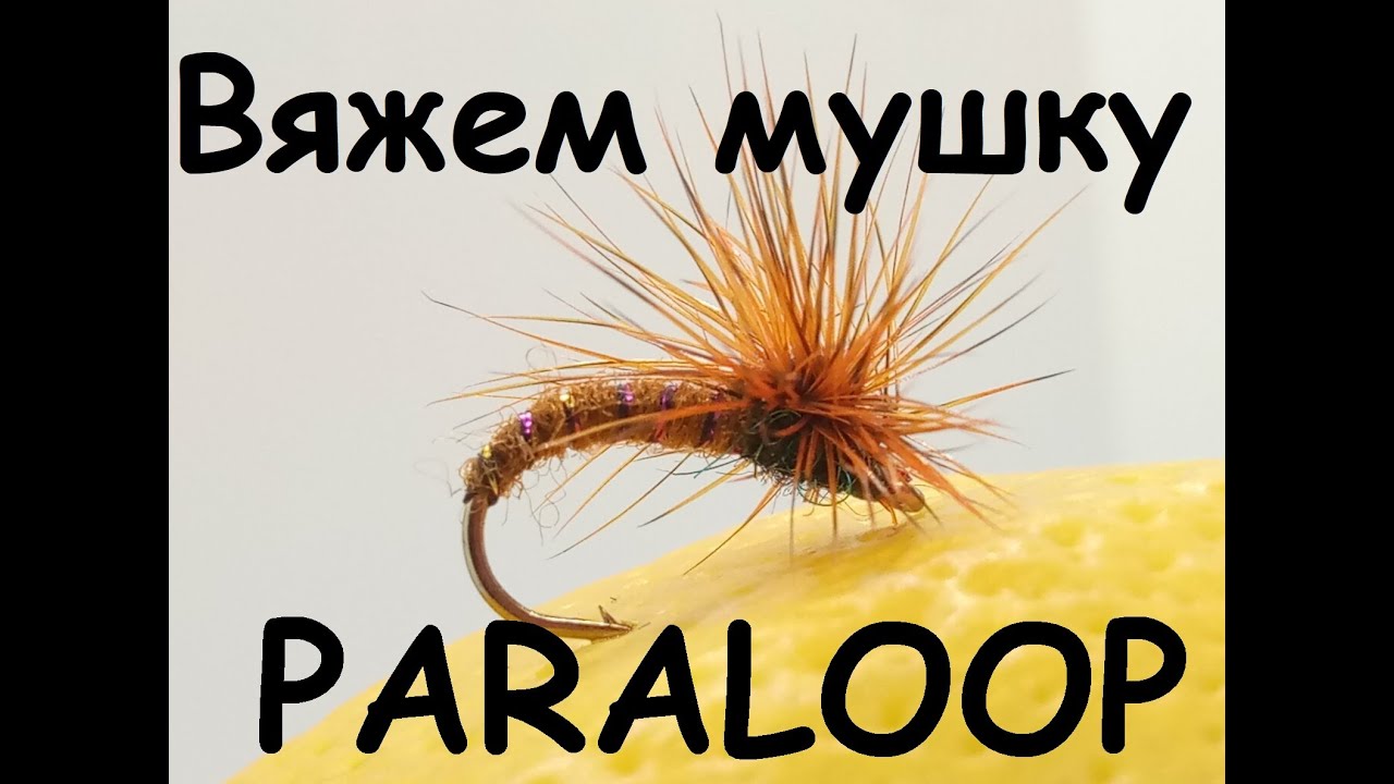 Paraloop - мушка на хариуса с необычным приемом вязания.