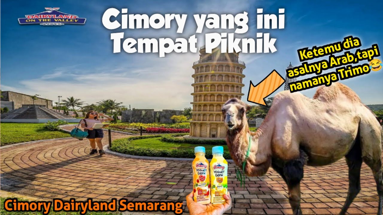 Cimory yang ini tempat piknik!
