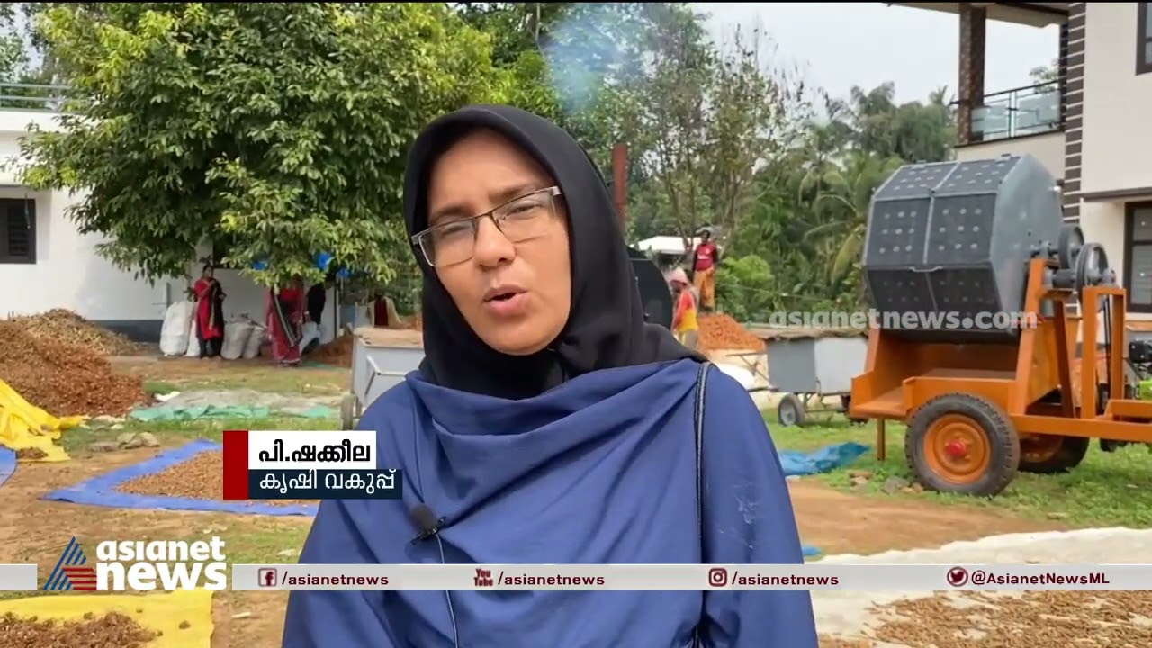 മഞ്ഞൾ കൃഷിയുടെ വിജയഗാഥ  | Turmeric Farming