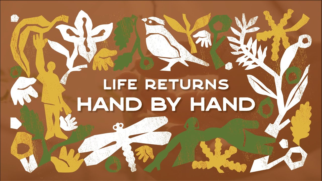 Life Returns Hand by Hand