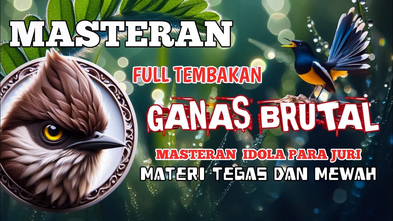 2 jam masteran full tembakan Ganas dan Brutal masteran idola para juri Materi Tegas dan Mewah