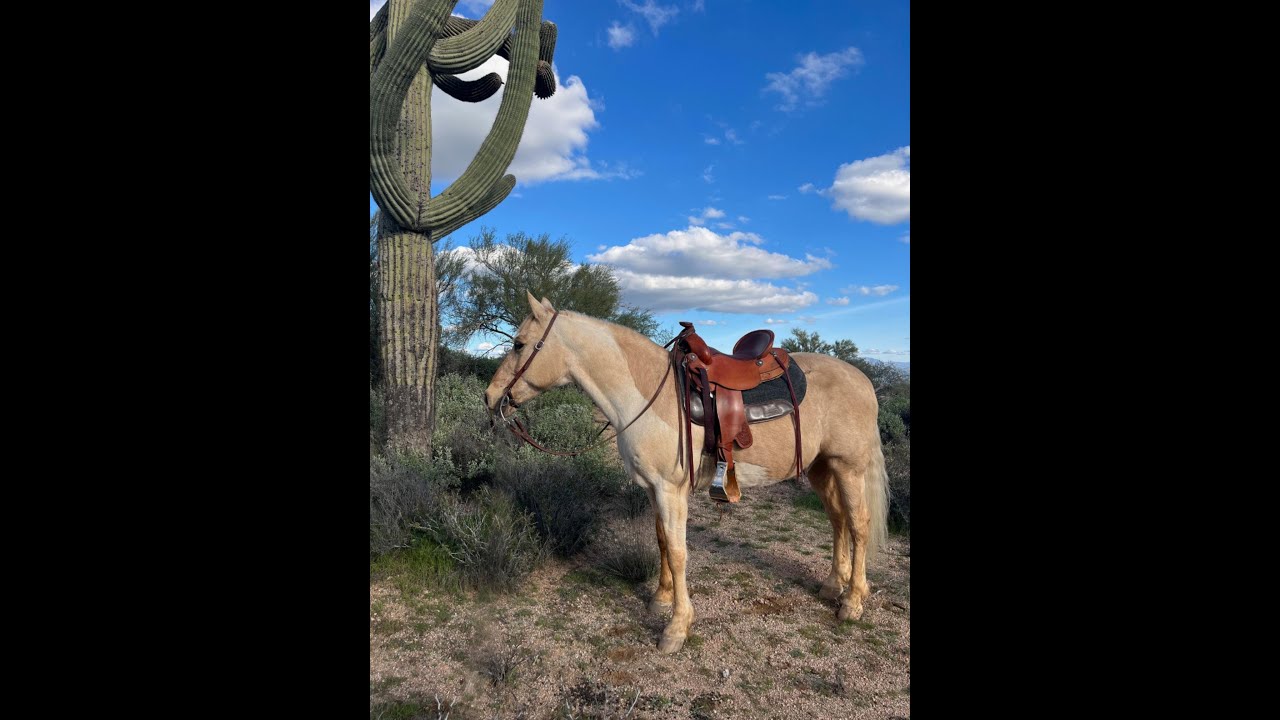 Trail Ride With Whip