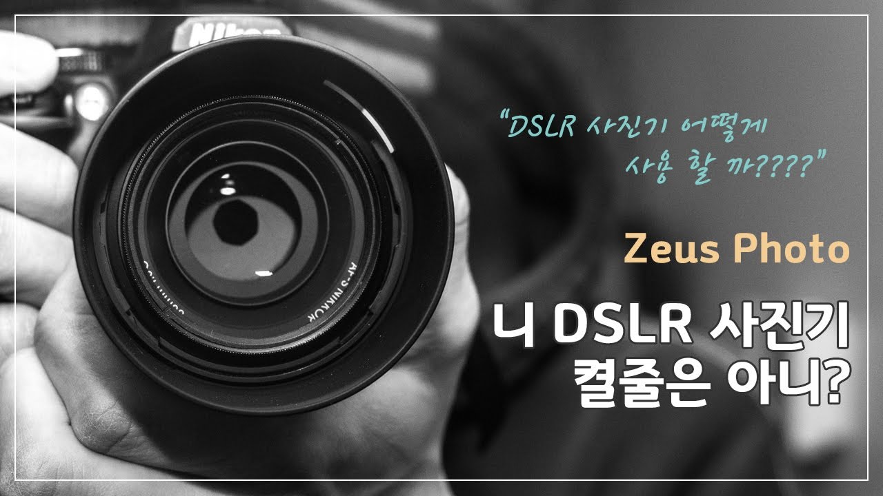 DSLR 카메라 살펴보기 이 버튼은 뭐 하는 거지??