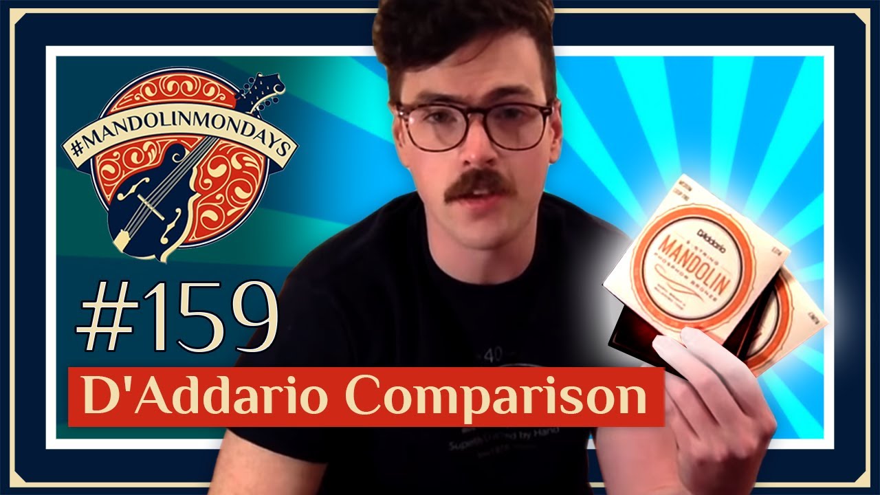D'Addario String Comparison /// David Benedict Mandolin
