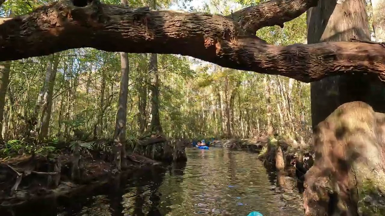 Shingle Creek Paddle