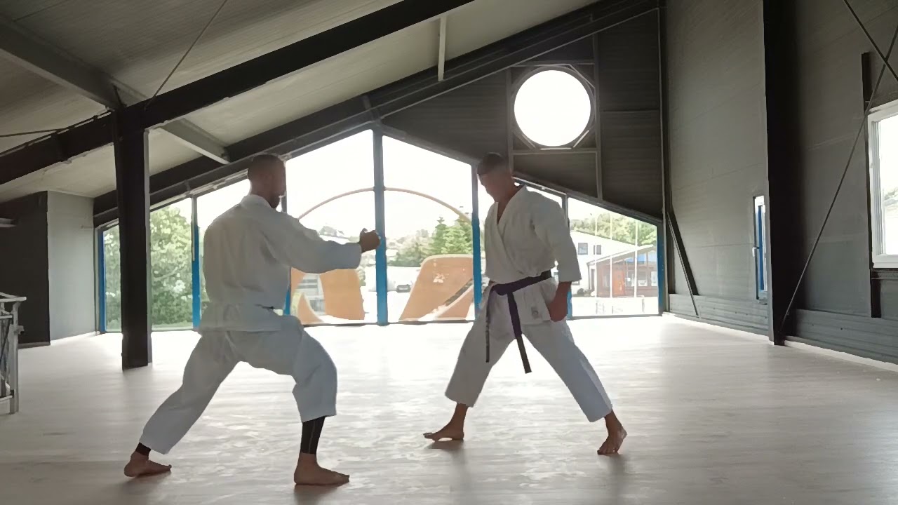 Sochin Kata und Applikationen/ Bunkai