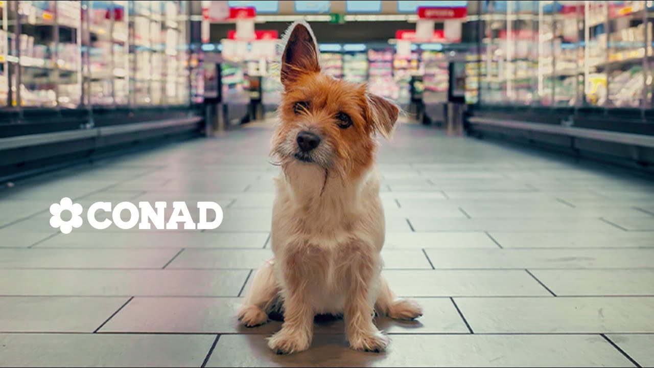 CONAD - Il Cagnolino - TV60 -  2024