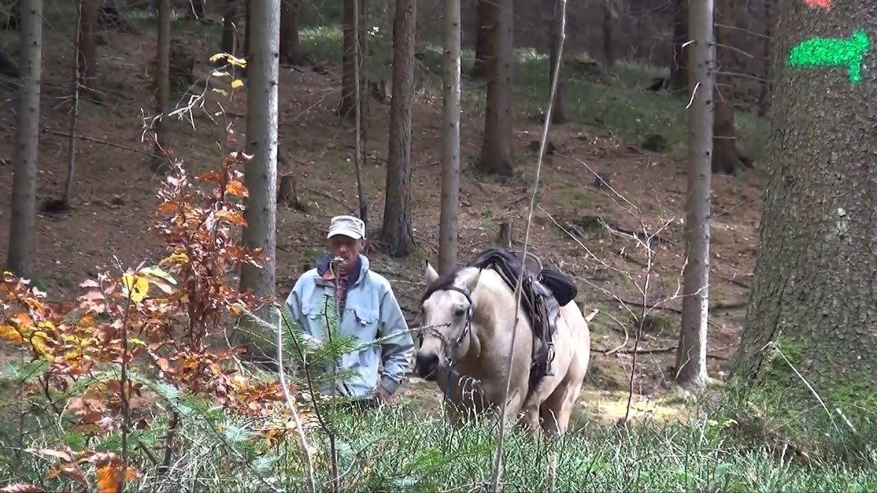 Wanderreiten im Herbst 2018