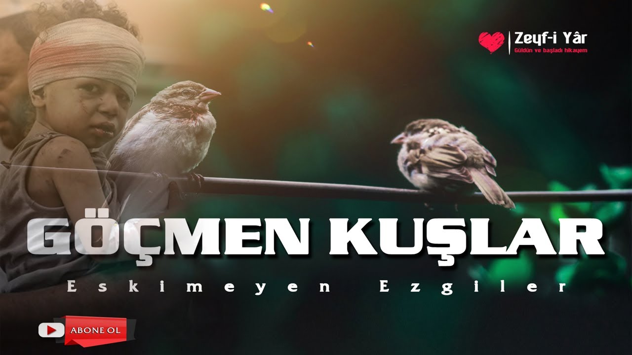 Gel Yaralı Serçe - Yusuf Altuntaş
