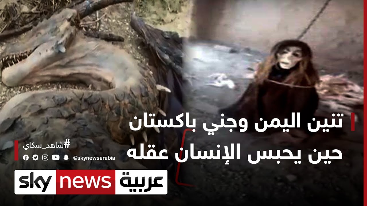تنين اليمن وجني باكستان.. حين يحبس الإنسان عقله | #وثائقيات_خاصة