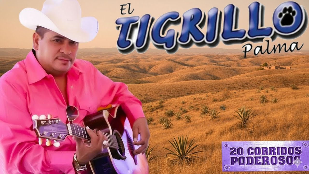 El Tigrillo Palma De Oro 💥 20 Exitos Puros Corridos Mix Para Pistear 2025