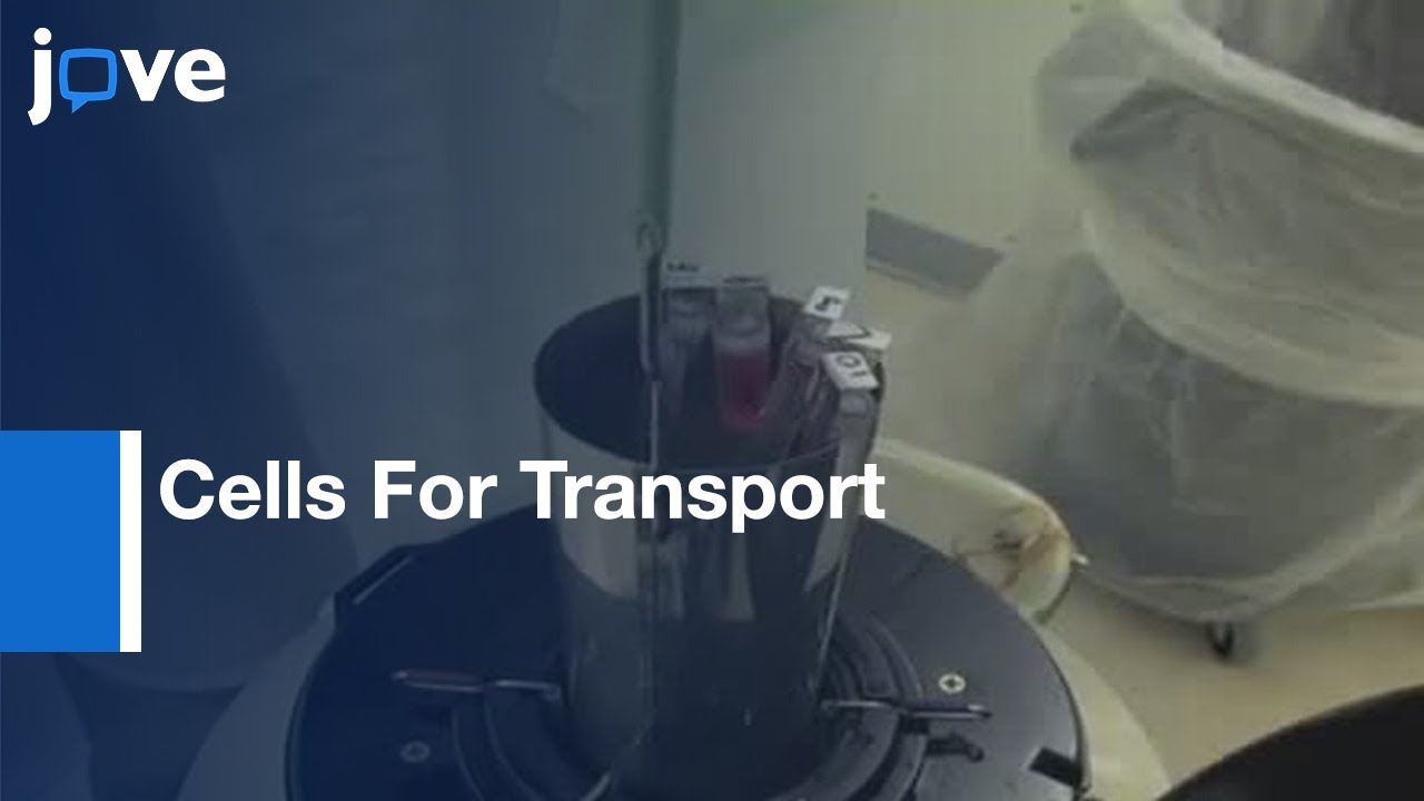 Freezing, Thawing, & Packaging Cells For Transport l Protocol Preview