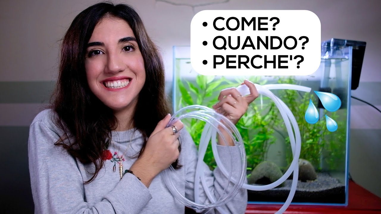 CAMBIO dell'ACQUA in acquario d'ACQUA DOLCE