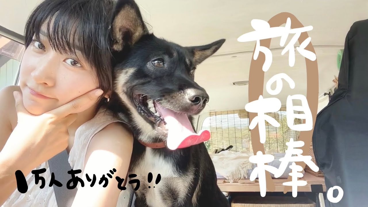 【保護犬】車中泊女子が旅の相棒と出会った話し。