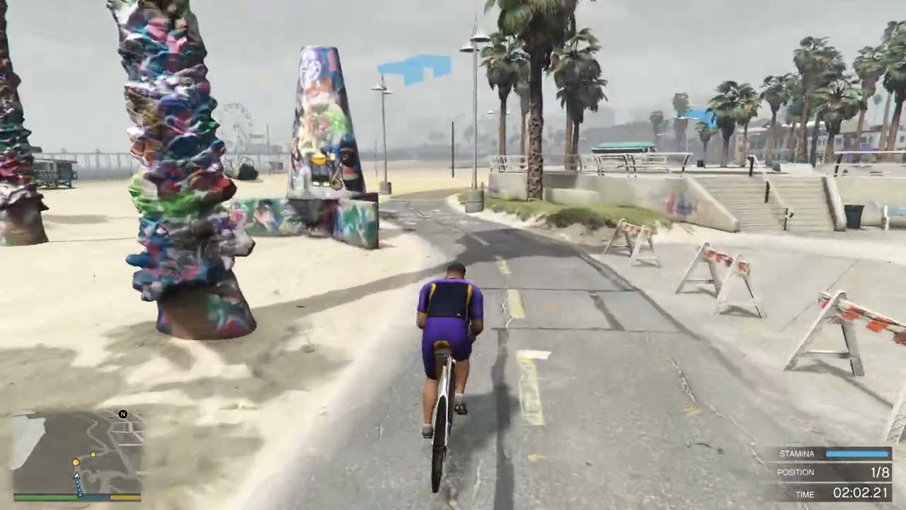 Vespucci Triathlon with Franlin