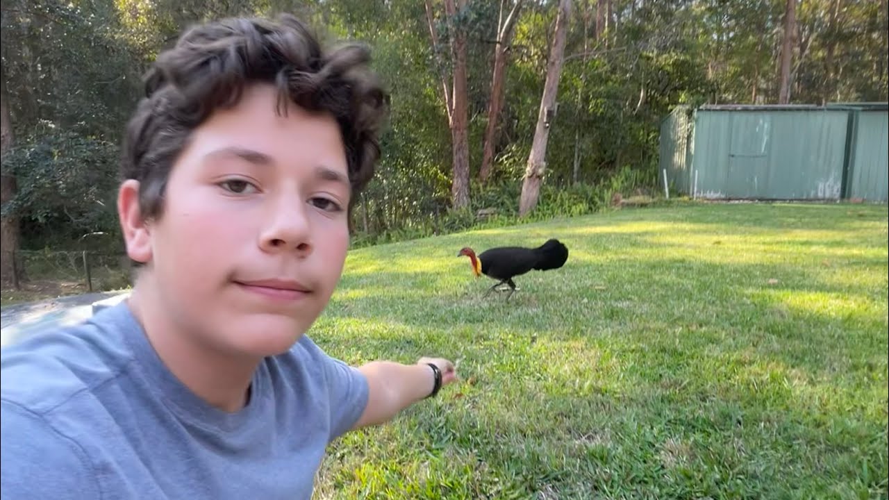 I hate his video (You will too)