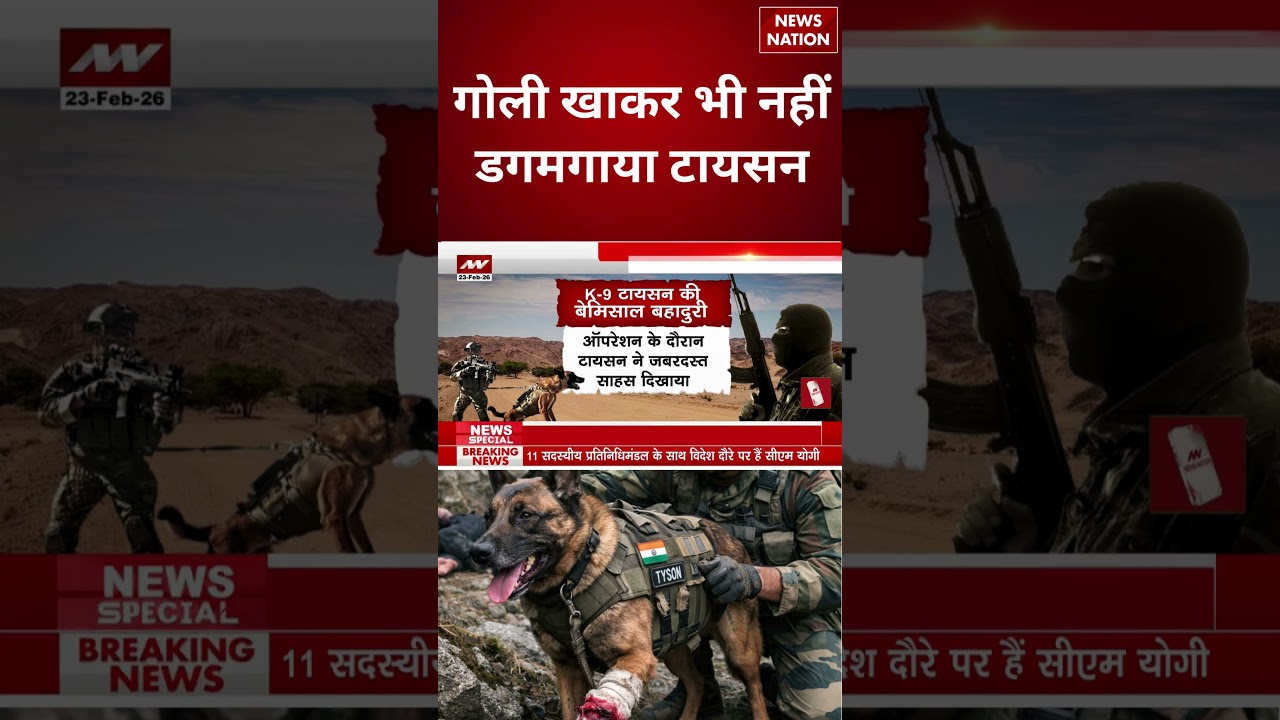 Kishtwar Encounter: गोली खाकर भी नहीं डगमगाया टायसन | #shorts #kishtwarencounter #jammukashmir