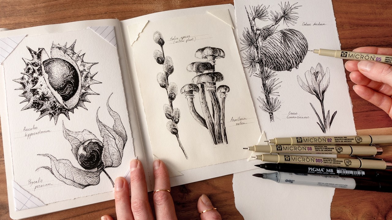 Just inking botanicals ✒️ (no music, no talking)