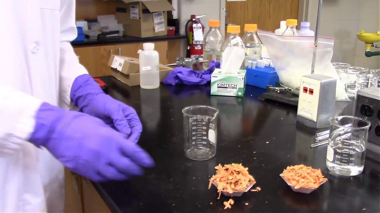 Extraction of Starch from Potatoes