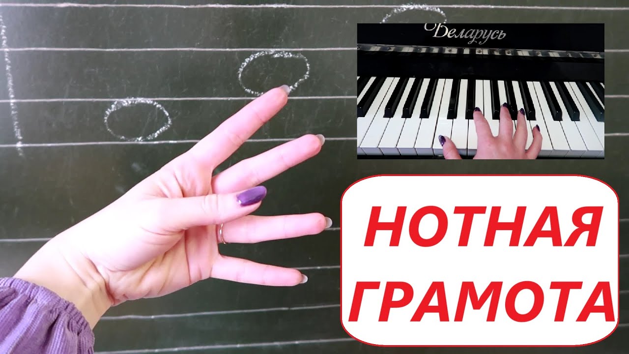 1. СОЛЬФЕДЖИО С НУЛЯ ДЛЯ ВЗРОСЛЫХ: НОТЫ. НОТНАЯ ГРАМОТА