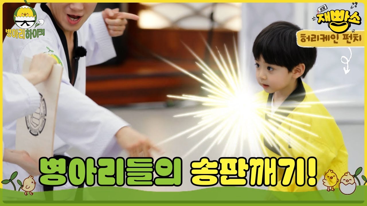 [병아리 하이킥]🐤 🥋 병아리들의 송판깨기! 두려움 다 덤벼~! #9