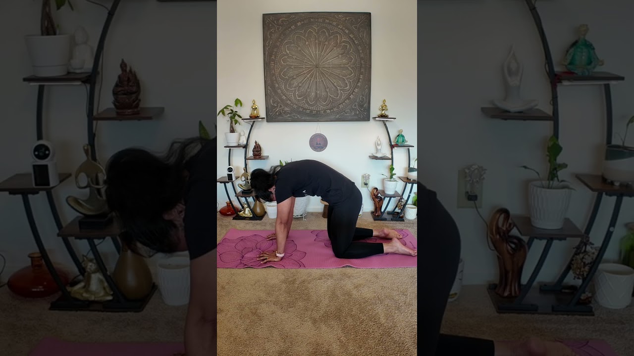 Monday Mat Chat: Cat-Cow. Forward fold.Movement clears stuck energy.#ReleaseAndFlow