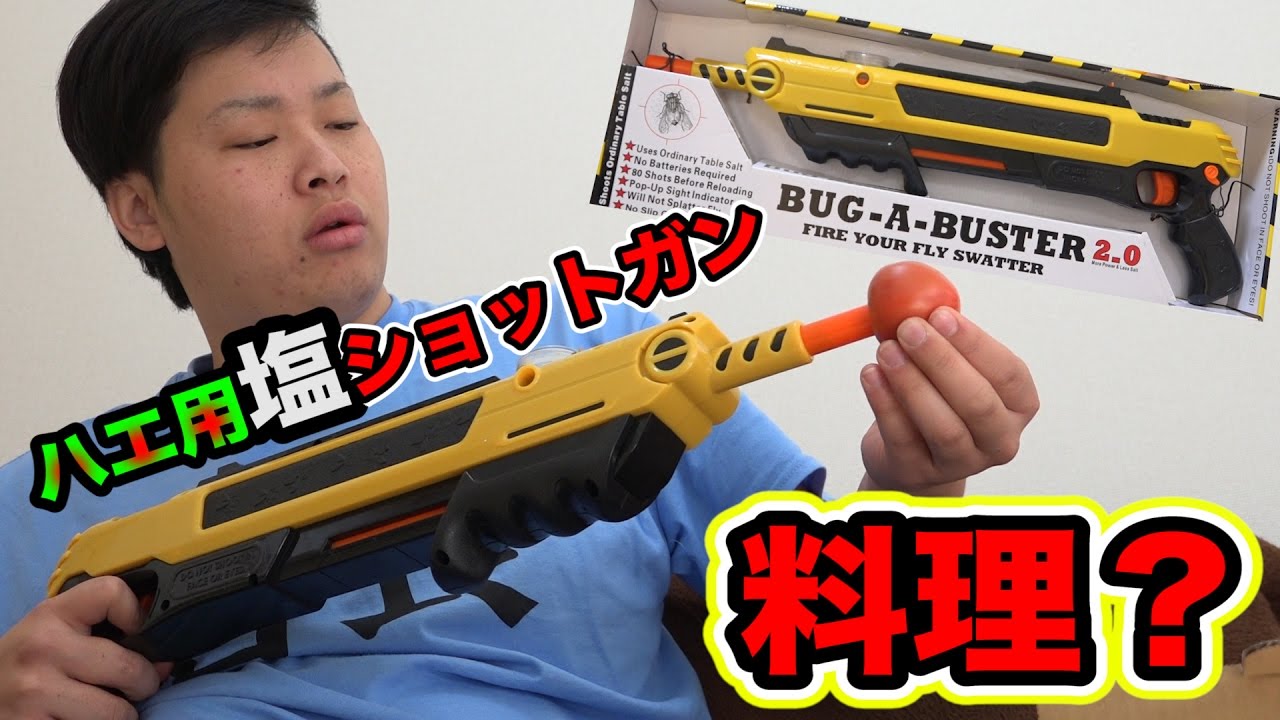 ハエを倒す塩ショットガンは料理に使える！？