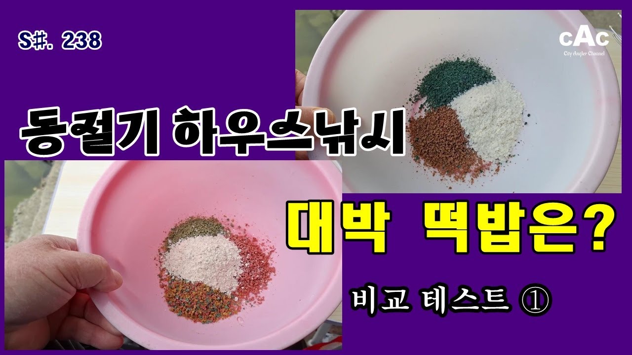 S#.238. 동절기 하우스낚시 대박 떡밥은? 비교 테스트 ① / 붕어낚시 / 떡밥 / 성화낚시터