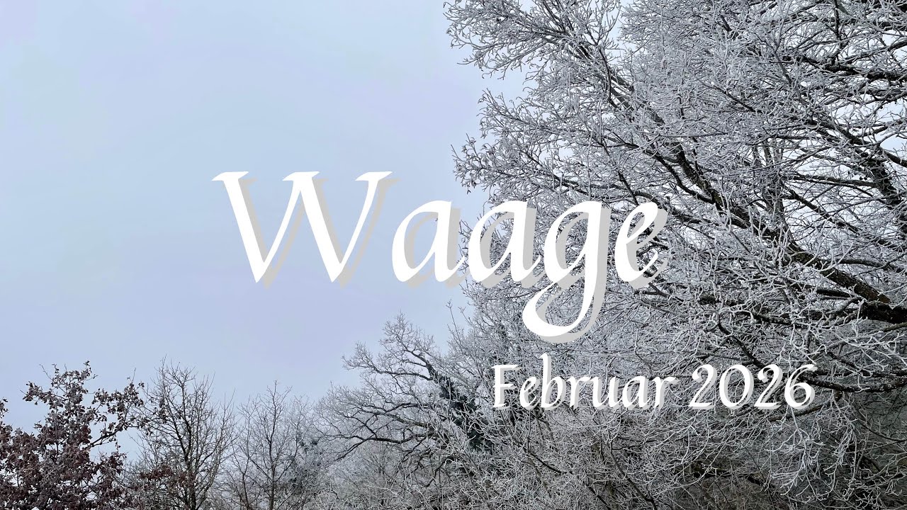 Waage ♎️ Februar 26 • (Fast) zu schön um wahr zu sein 