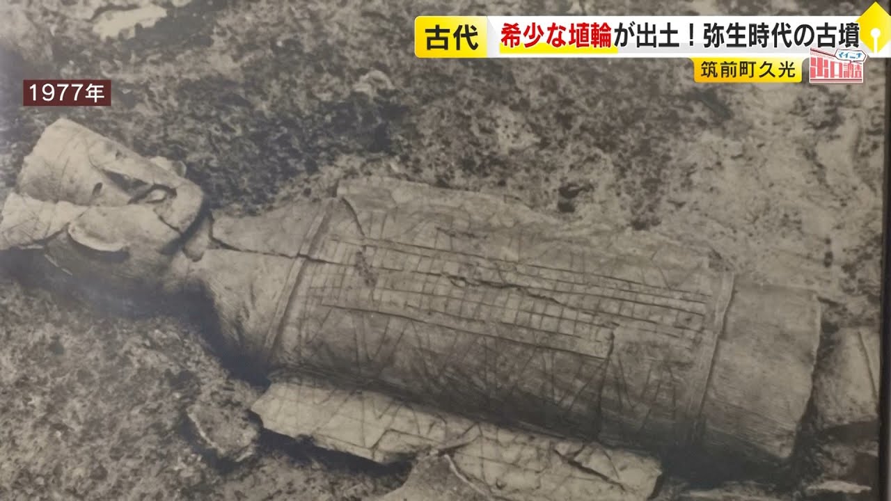 福岡の街を“出口調査”「筑前町」　出土した希少な「はにわ」は“古墳のガードマン” 　全国から見物客が訪れる「巨大わらかがし」 ／ （2025/11/06  OA）