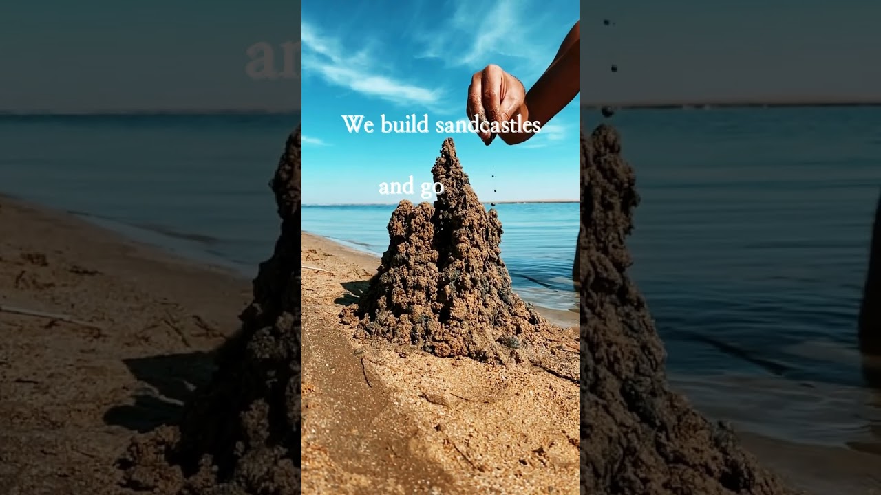 September Is Clear The Coast 4 Sea Turtles! 🐢