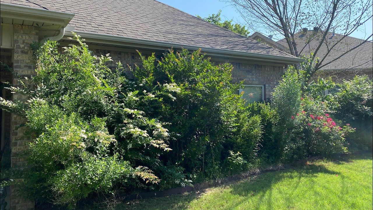 ELDERLY lady with COVID gets FREE flowerbed transformation and UGLY YARD MAKEOVER