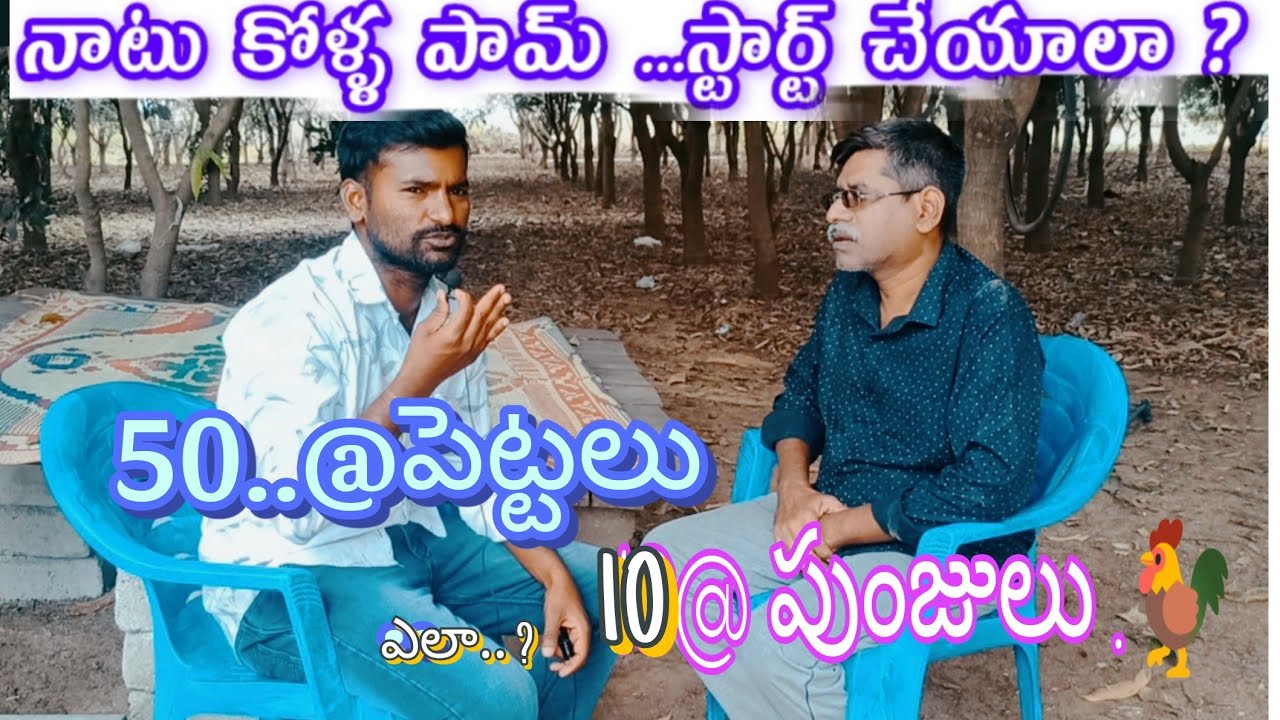 నాటు కోళ్ళ పామ్  కొత్తగా మొదలుపెట్టాలా ? 50 పెట్టలు,10..పుంజులు🐓 .. మరి ఎలా ..🤔#sureshagritalks..