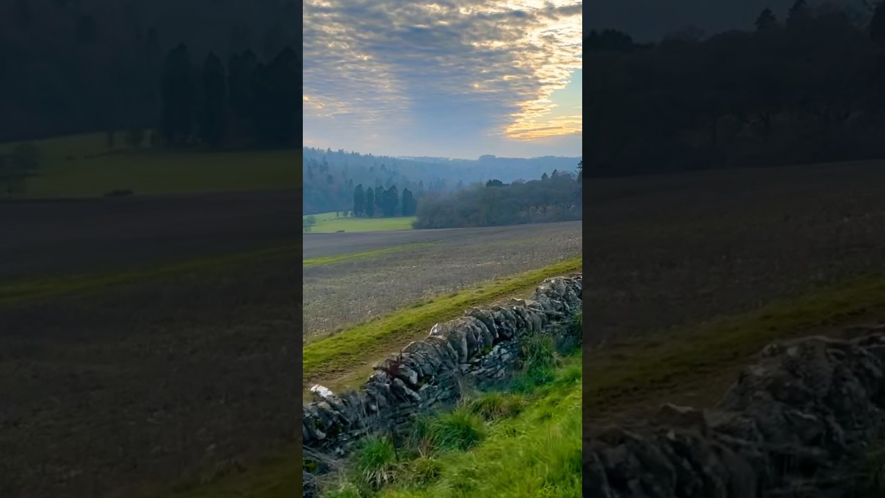 The English Countryside. Lavender Fields. #relaxing #Shewalks #beautifulnature #lavenderfield