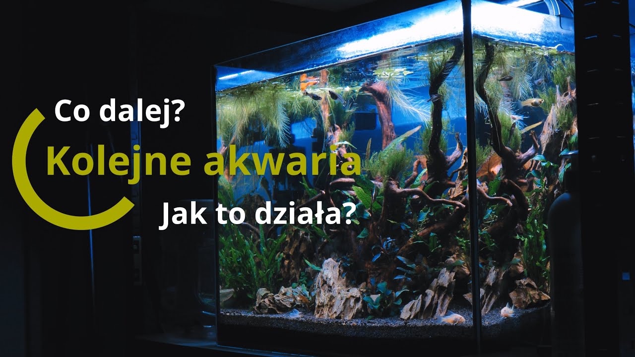 Co dalej? Plany i om&oacute;wienie aktualnych setup'&oacute;w.