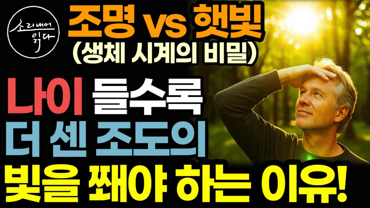 '햇빛 vs 조명' 몸속 생체 시계의 놀라운 비밀! / 나이 들수록 더 강한 빛을 쫴야 하는 이유 / 우울증, 불면증, 수면장애 개선 조명 사용법 / 건강 신간도서 책읽어주는여자