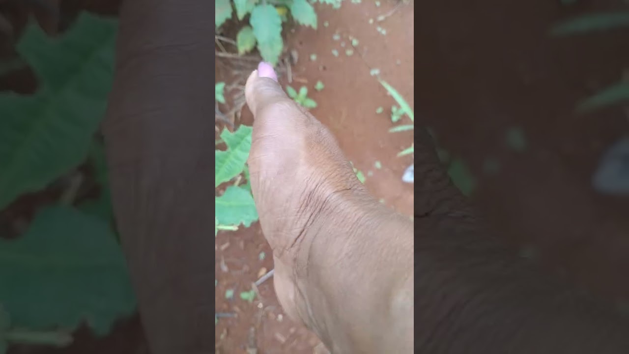 23 de fevereiro de 2026