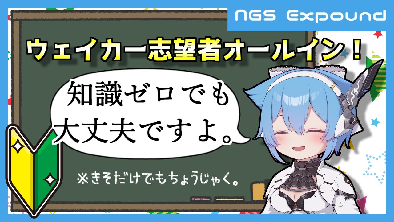 【PSO2:NGS】ウェイカーの操作は一見複雑そうだけど、普通に複雑だぜ！！！【クラス/武器解説】
