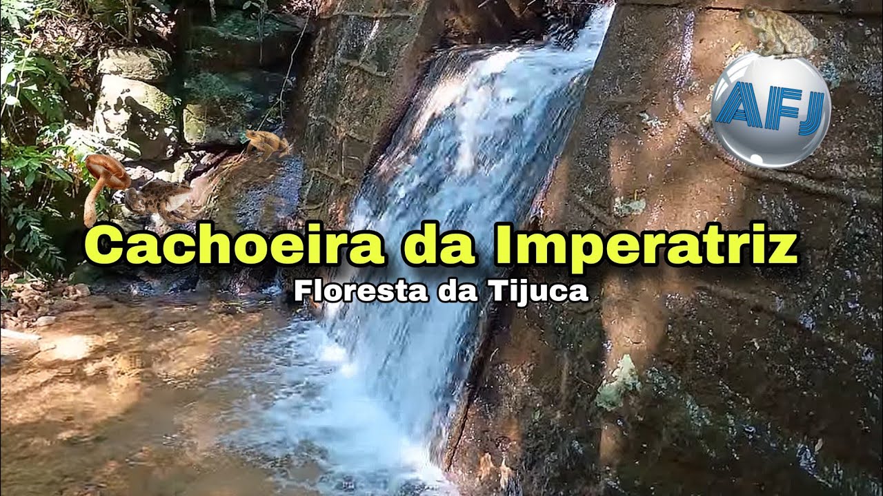 CACHOEIRA DA IMPERATRIZ E JEQUITIBÁ - Floresta da Tijuca - como chegar 