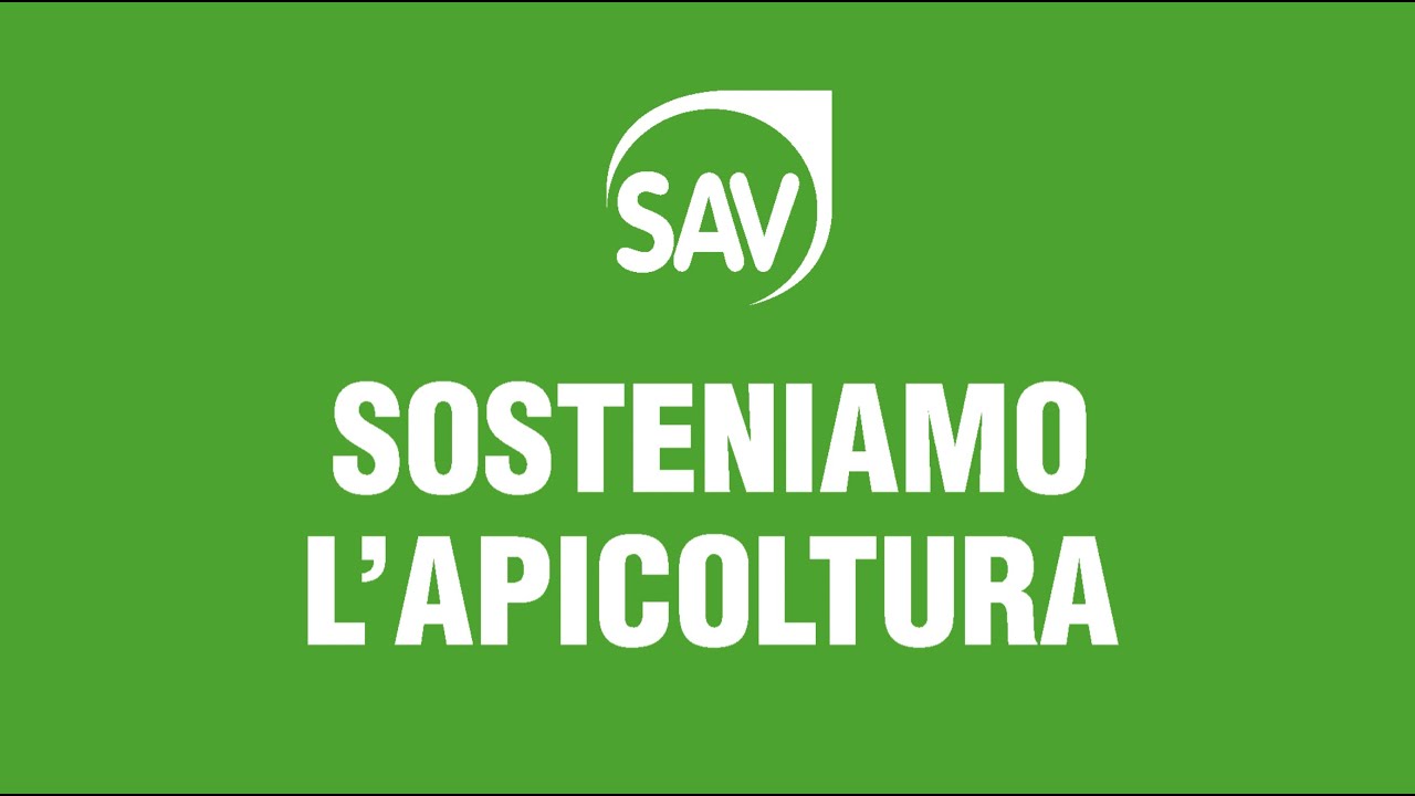 Miele, api ed agricoltura: intervista a Francesco Mezzo