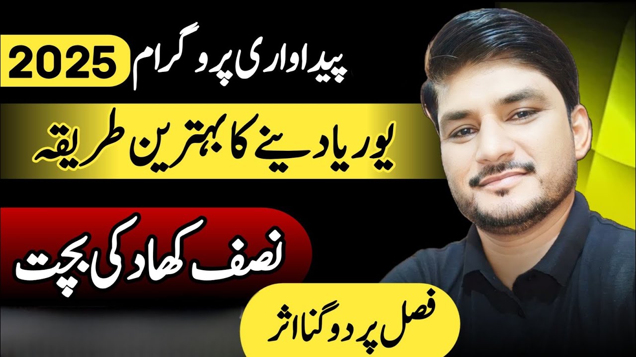 Best Method to Use Urea Fertilizer | Eficient Use of Urea Fertilizer | Best Urea Application Method.