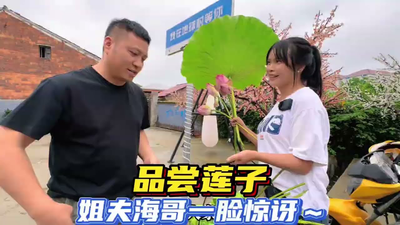 农场大丰收，二花摘莲子大家品尝，姐夫海哥一脸惊讶 #海哥量地球