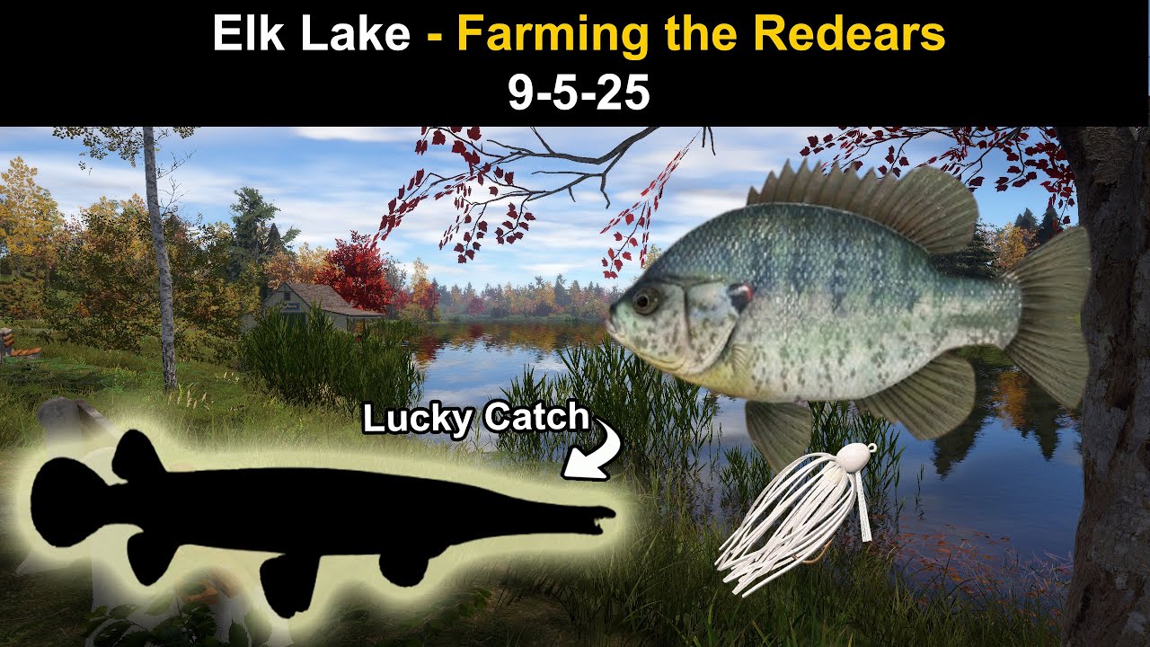 Russian Fishing 4, Elk Lake - Farming the Redears  9-5-25