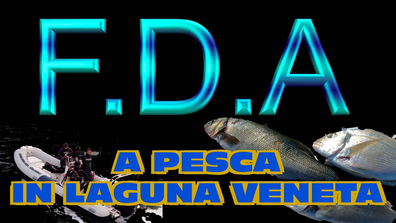 a pesca in laguna veneta