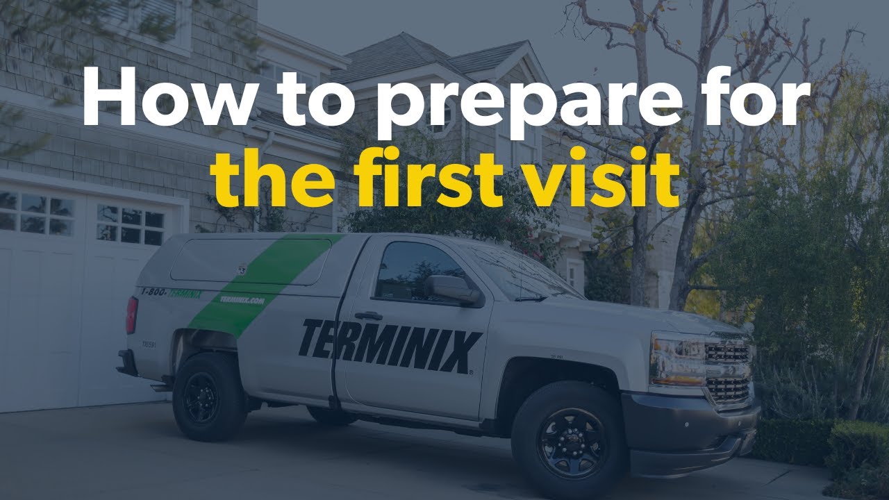 Welcome to Terminix: How to Prepare for Your First Visit